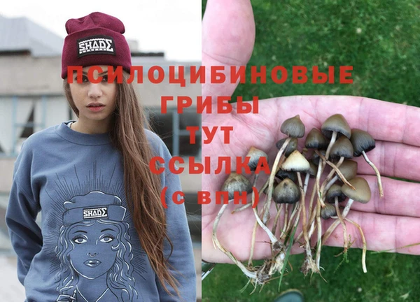 меф Алзамай