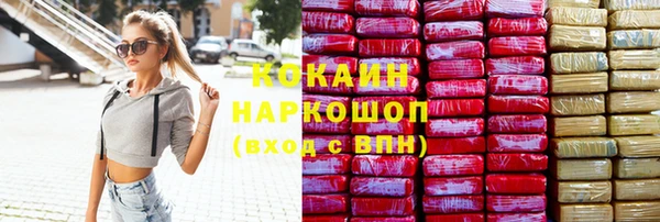 шишки Алексин
